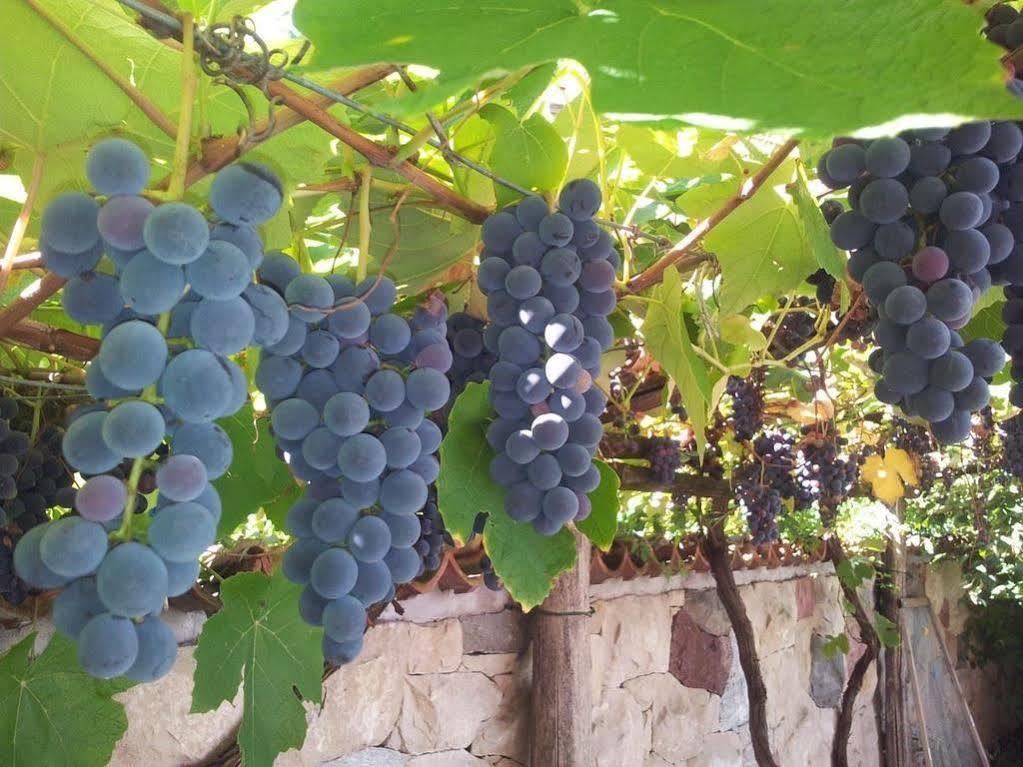 Bed&Breakfast Pension Hilpold Lana Esterno foto